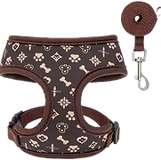 harness & leash_edited.png