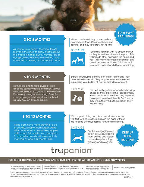 Trupanion Puppy's First Year