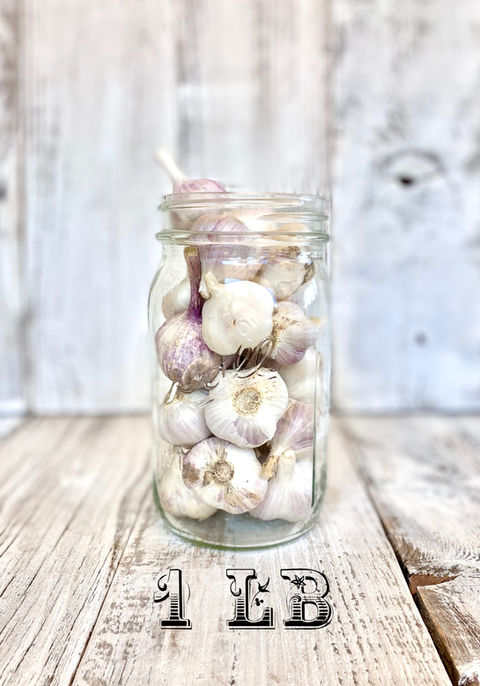 Fields' Folly Farm Inchelium Red Garlic