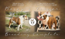 Breeding Announcement