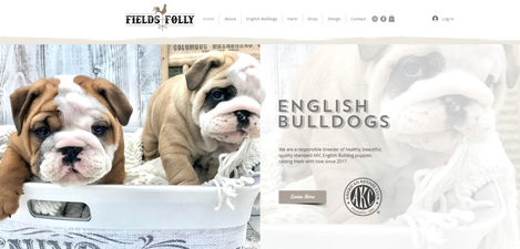 Fields Folly Website (2)