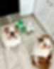 IMG_9615.jpeg
