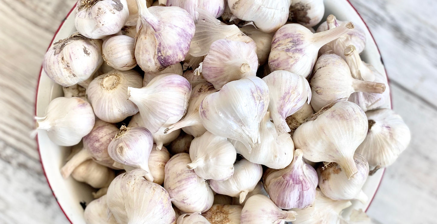 Fields' Folly Farm Inchelium Red Garlic