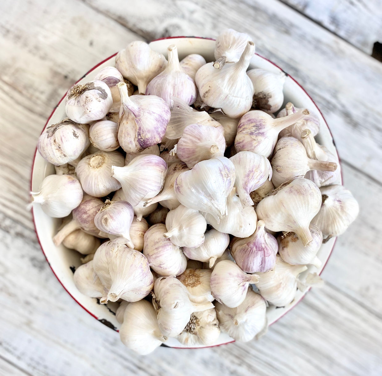 Fields' Folly Farm Inchelium Red Garlic