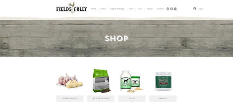 Fields Folly Website (6)