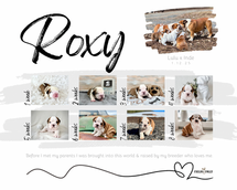 Puppy Milestones