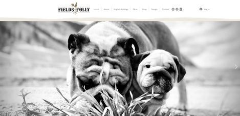 Fields Folly Website (1).jpg