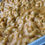 Thumbnail: 5 cheese macaroni 