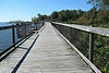 lakeshore trail.jpg