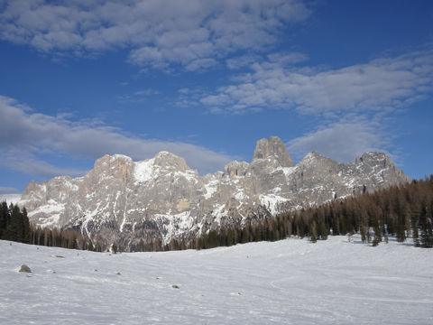 DSC05698.JPG