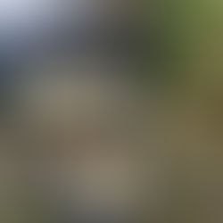 One boy's visit to Nolte State Park in Enumclaw, Washington