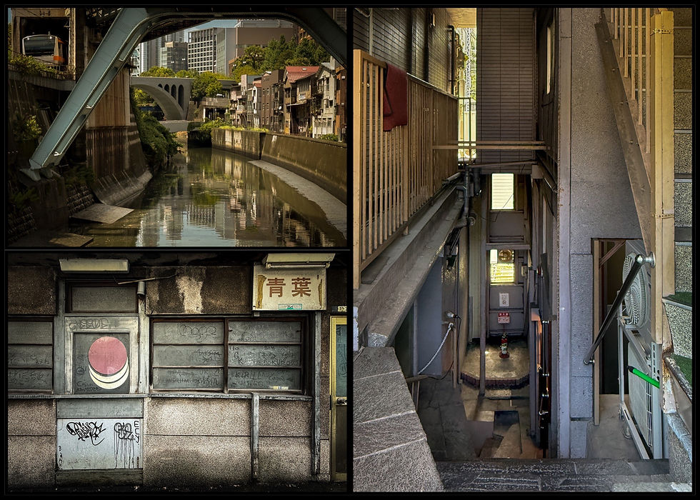 神田川沿い