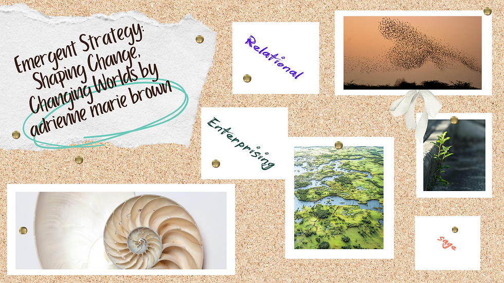 Discover the transformative beauty of interconnectedness, innovation, and wisdom in Emergent Strategy: Shaping Change, Changing Worlds by adrienne maree brown, where nature's patterns inspire creative strategies for a better future.