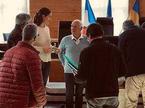 Lutte contre les frelons à pattes jaunes en Lot-et-Garonne