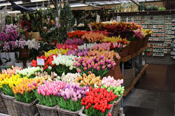 Marché aux fleurs