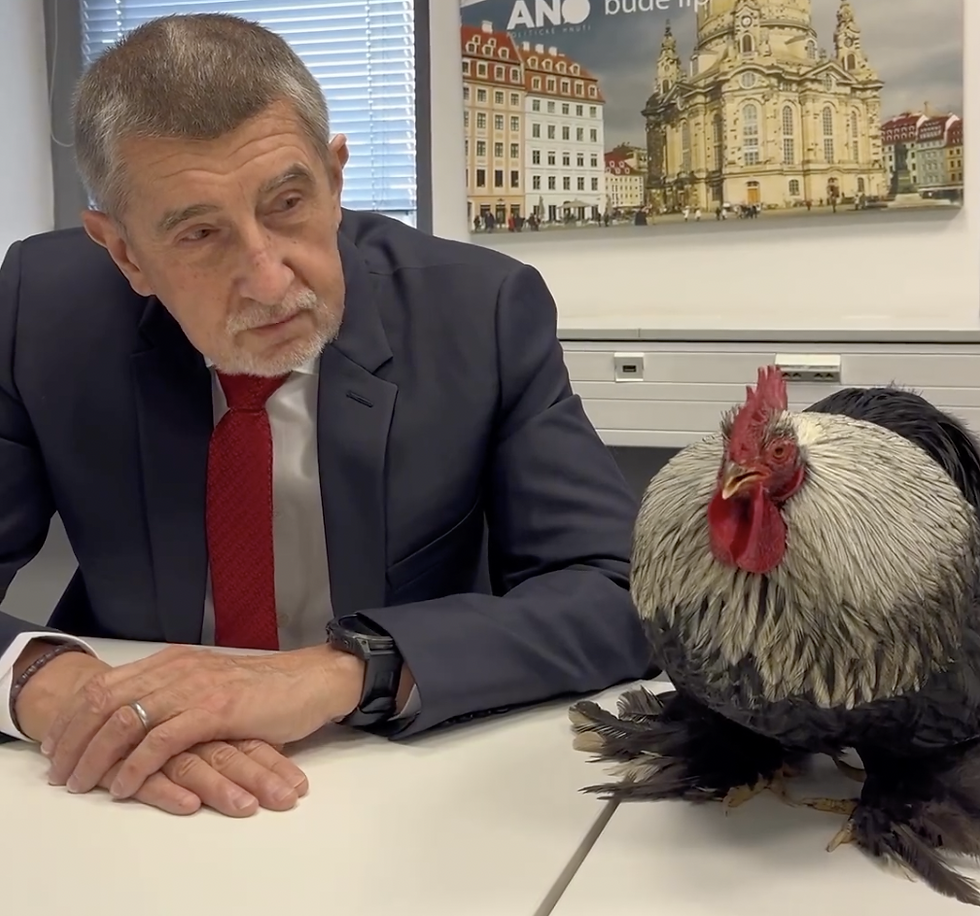 POHLED: Když politici mluví bez otázek aneb tichá proměna politické komunikace