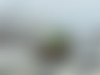 Storm set to impact Nova Scotia and Newfoundland