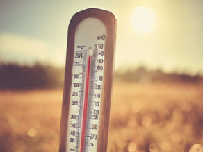 Stephenville, Makkovik and Mary's Harbour Set New Heat Records