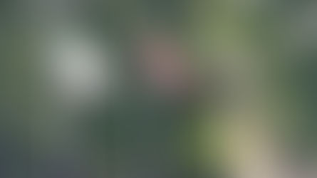 What is St. George’s Day?