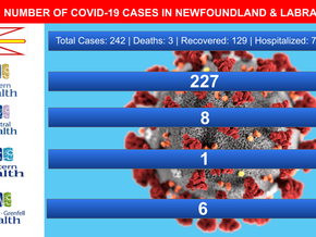 1 New Case of COVID-19 in NL, 7 Are in Hospital