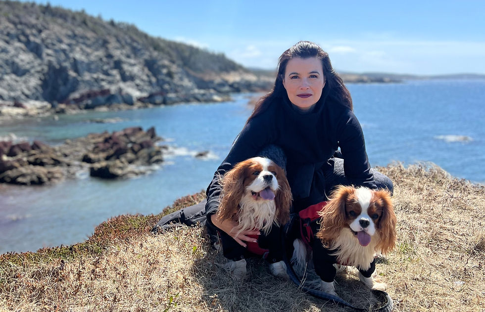 RNC searching for missing person in Mount Pearl