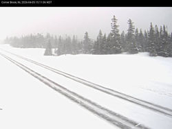 Snow moving across Newfoundland this afternoon