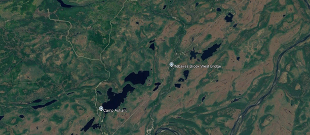 Public asked for information on caribou poaching near Stephenville
