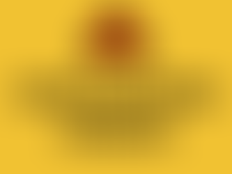 Regional state of emergency declared in Newfoundland due to wildfire