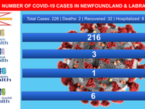 Daily COVID-19 Update: 9 New Cases, Second Death