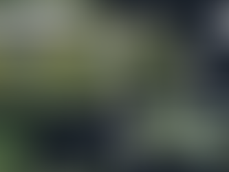 Stormy conditions expected across Newfoundland today