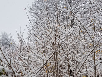 Winter storm moving across the Prairies