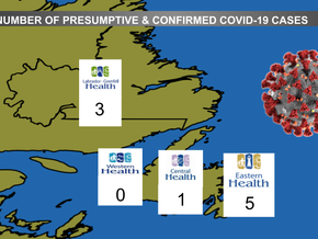 9 Cases on COVID-19 in NL