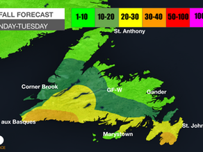Wet start to the week across Newfoundland