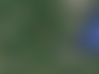 Tornado Touches Down in Ontario