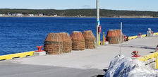 DFO to outline management plans for key Newfoundland and Labrador fisheries