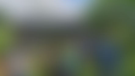 Produtores do Cerrado das Águas participam de explicação técnica sobre manejo de Sistema Agroflorestal durante imersão na Cultiva Agroecologia em Uberlândia.