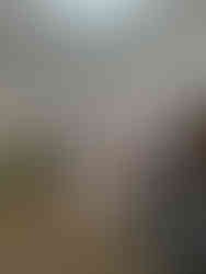 Presentation of the journey and achievements of the Network of Women Builders of Regenerative Landscapes of the Cerrado Mineiro during the 4th meeting promoted by CCA.