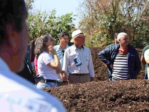 Abordagem sobre temperatura do composto orgânico