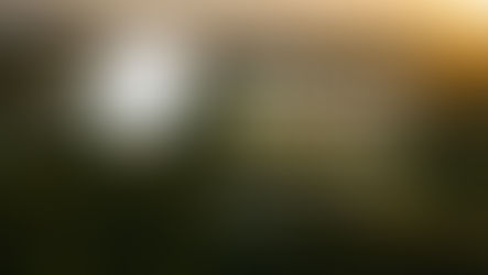 Arte de divulgação do Fórum Regeneração Territorial do Cerrado 2026 sobre imagem aérea de paisagem do Cerrado ao pôr do sol, com vegetação nativa, curso d’água e áreas produtivas. A peça apresenta o título “Fórum Regeneração Territorial do Cerrado”, o subtítulo “Conectando sistemas produtivos no Cerrado” e o ano de 2026.