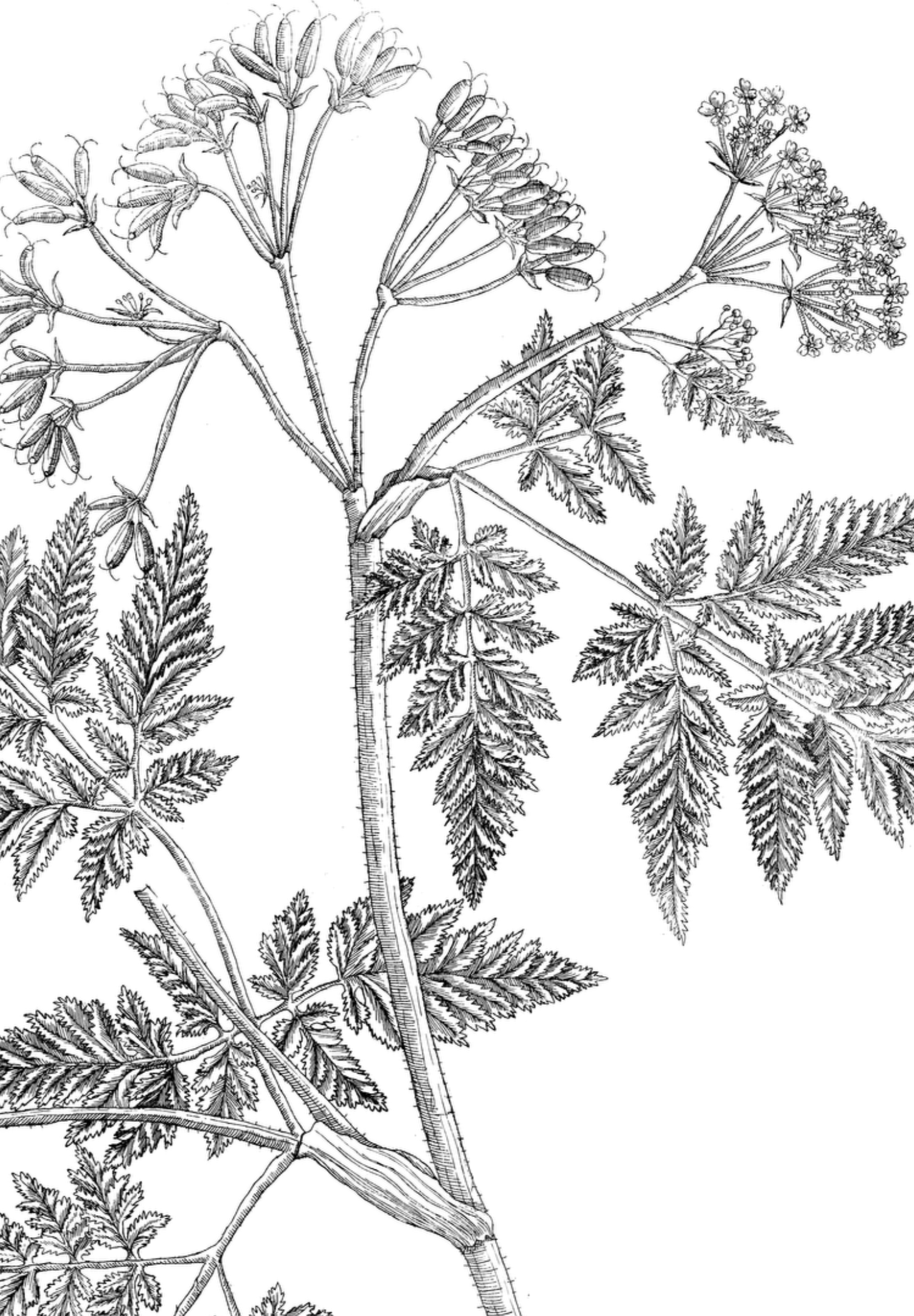 Einzelsitzung a 90 min.