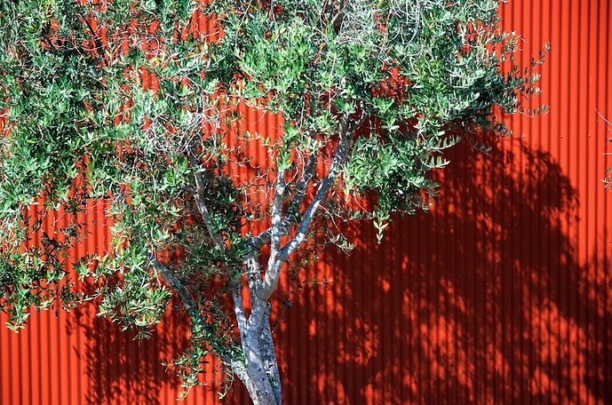 The Red Sheds