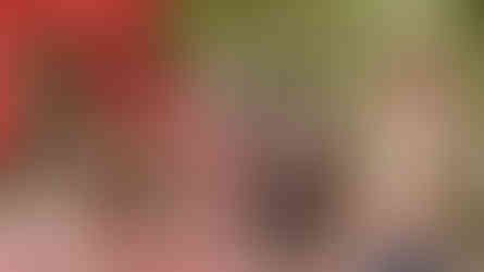 Guest House by Soft Whisper Games