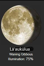 laaukulua.png