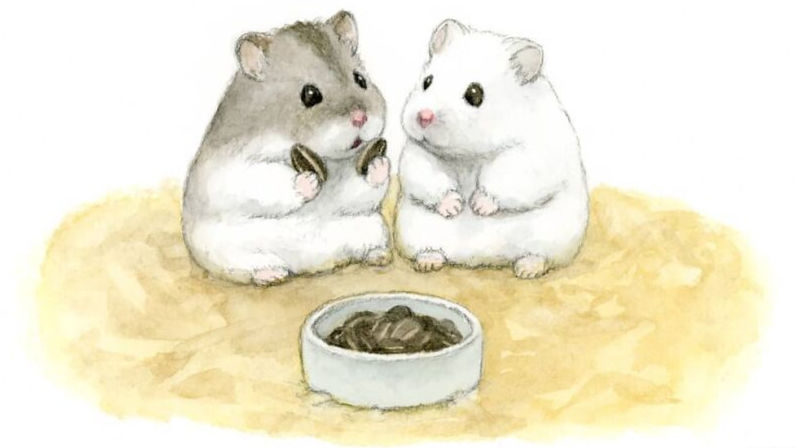 ひまわりの種を共有するハムスターのように、皆さんは感想を共有していました。