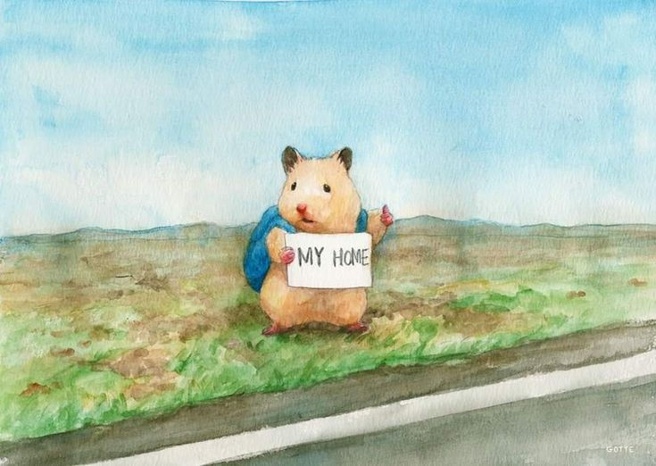 卒業後、新しい友達や新しい冒険はきっと待っていますが、その前に家に帰りましょう。