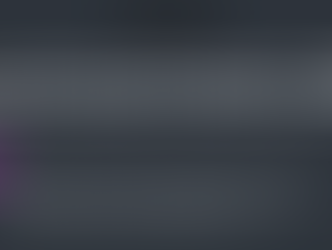 Expanding PDL Classification and Risk Assessment in NCR Jails