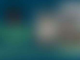 COMMUNITY BAIL BOND UPDATE – JANUARY 01-28 2022