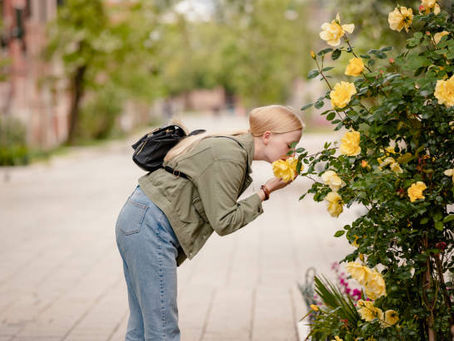 Lady stopping to smell yellow roses.