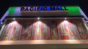 Modern LED lighting installation at Pacific Mall, featuring energy-efficient smart lighting solutions that enhance ambiance, reduce energy costs, and provide seamless automation for commercial spaces.