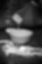 DSC04168.jpeg